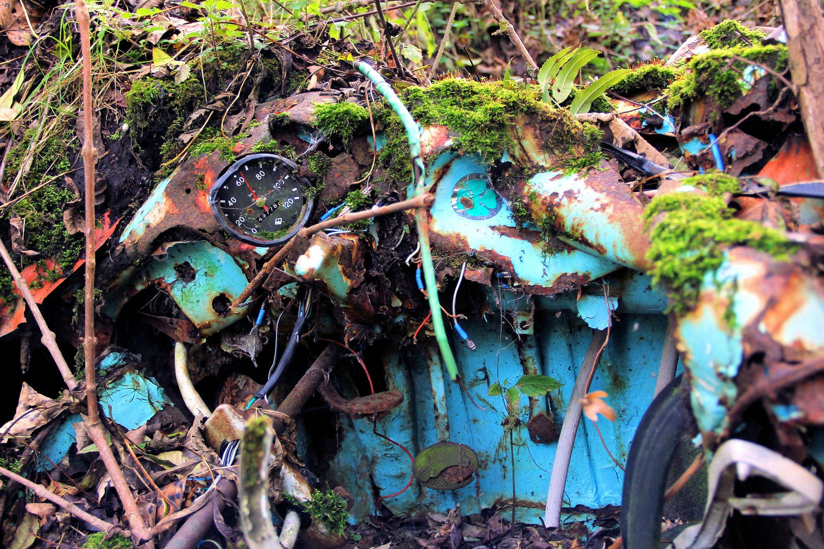 Gedenkstätte Buchenwald "Kunst im Wald" auf dem Gelände