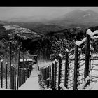 Gedenkstätte KZ Natzweiler-Struthof im Winter - (9439sw)