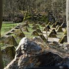 Gedenkstätte Naturpark Hohes Venn Eifel 