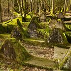 Gedenkstätte Naturpark Hohes Venn Eifel - Am Vichtbach