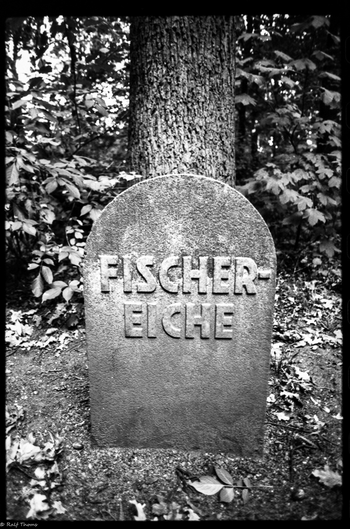 Gedenkstein Fischer Eiche