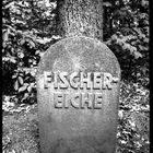 Gedenkstein Fischer Eiche