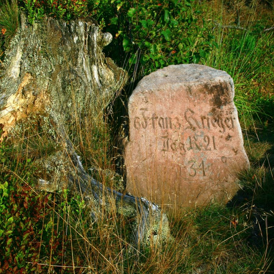 Gedenkstein für französische Krieger am petit Donon