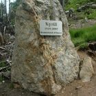 Gedenkstein - Kyrill am Bayrischen Berg "der Osser "