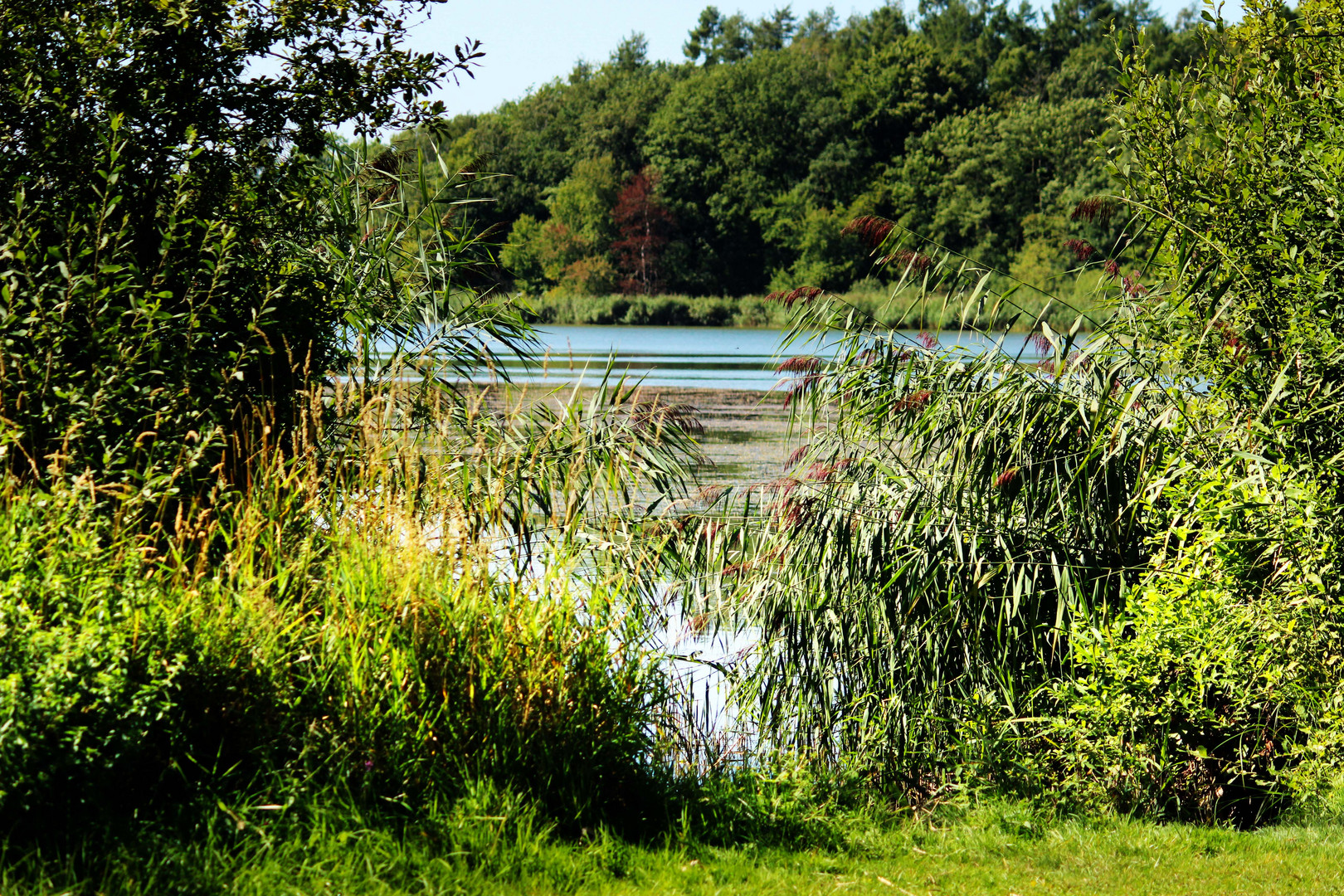 Gederner See