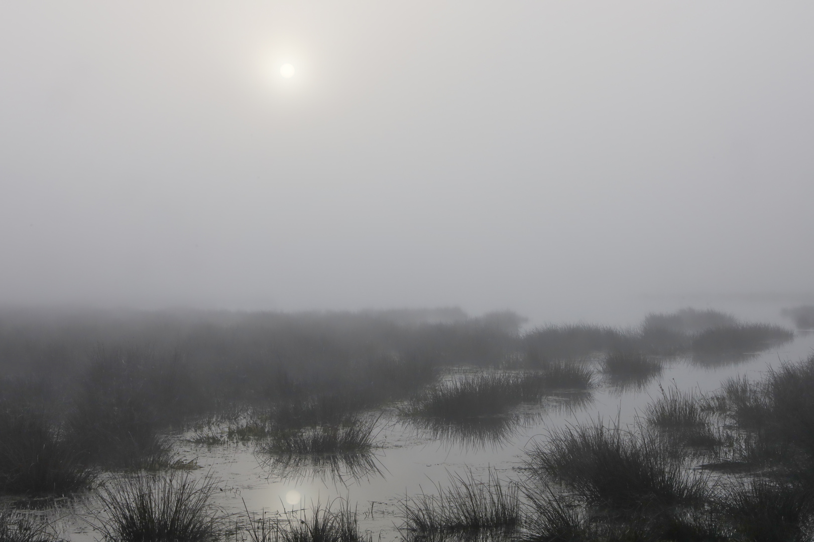 gedoppelter Sonnenaufgang am Moorsee