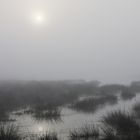 gedoppelter Sonnenaufgang am Moorsee