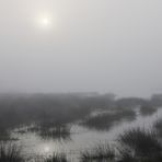 gedoppelter Sonnenaufgang am Moorsee