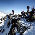 Gedränge am Grünhorn(Berner Oberland)