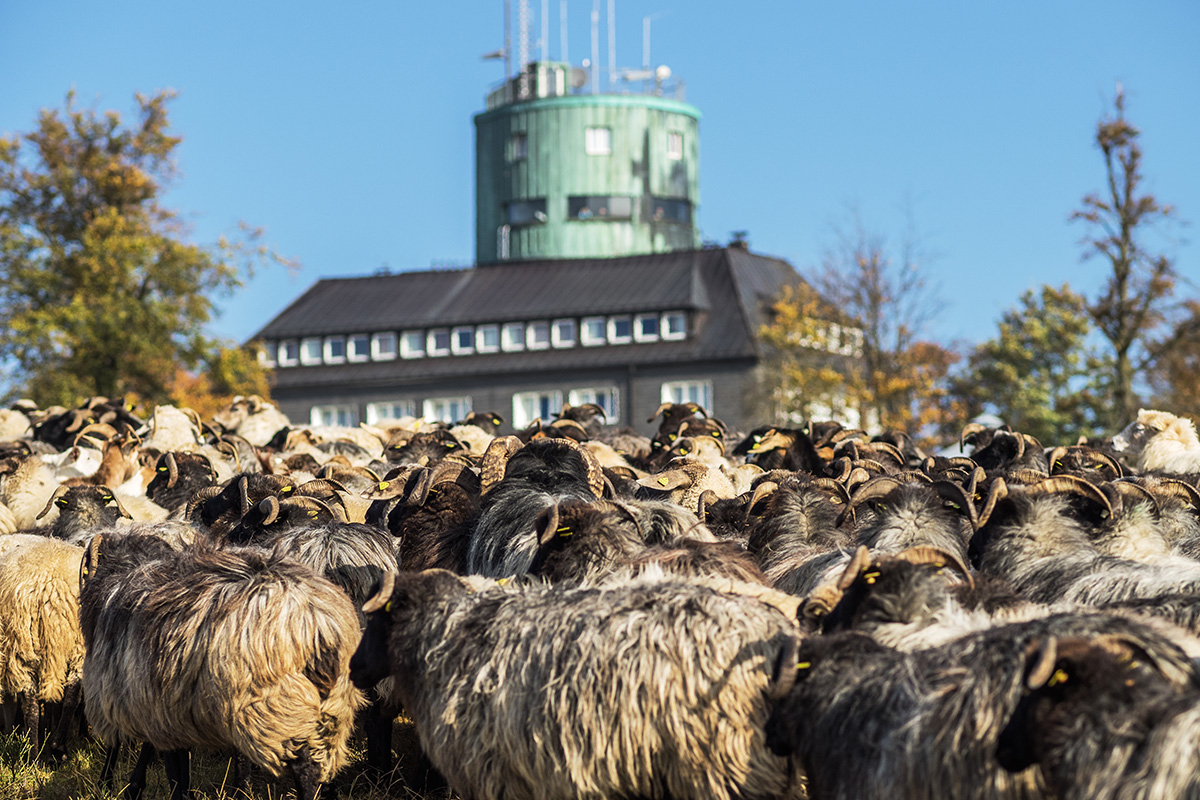 gedränge am kahlen asten......