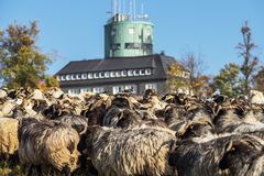 gedränge am kahlen asten......