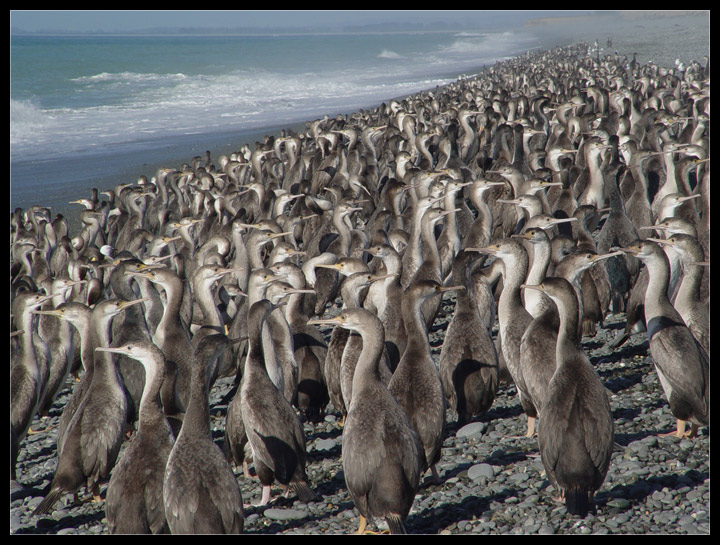 Gedränge am Strand