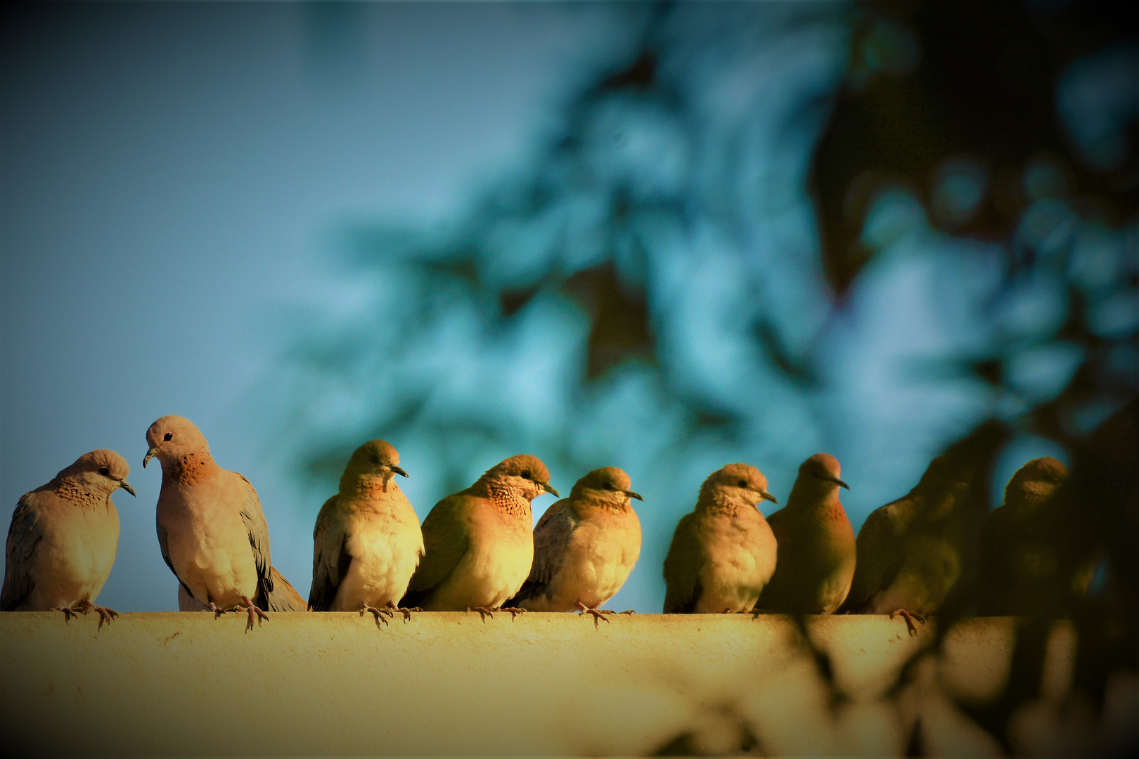 Geduld und warten... Foto & Bild tiere, wildlife, wild lebende vögel