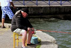 ... geduldiges Warten auf die Fischmahlzeit