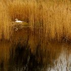 Geduldiges Warten bei schlechtem Wetter