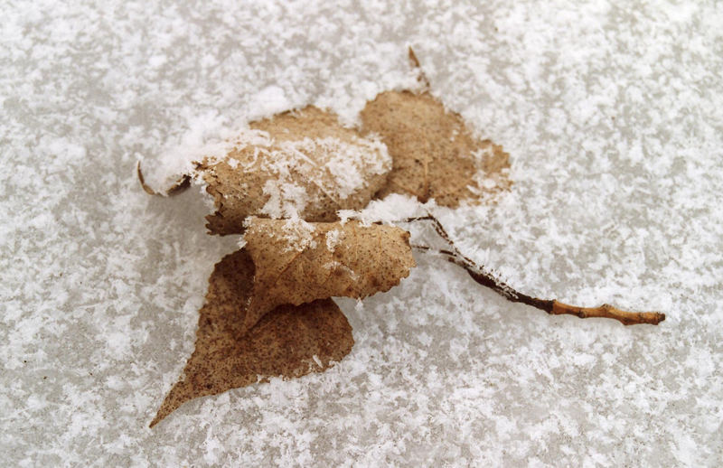 geeister Herbst von Ludwig Weinzierl