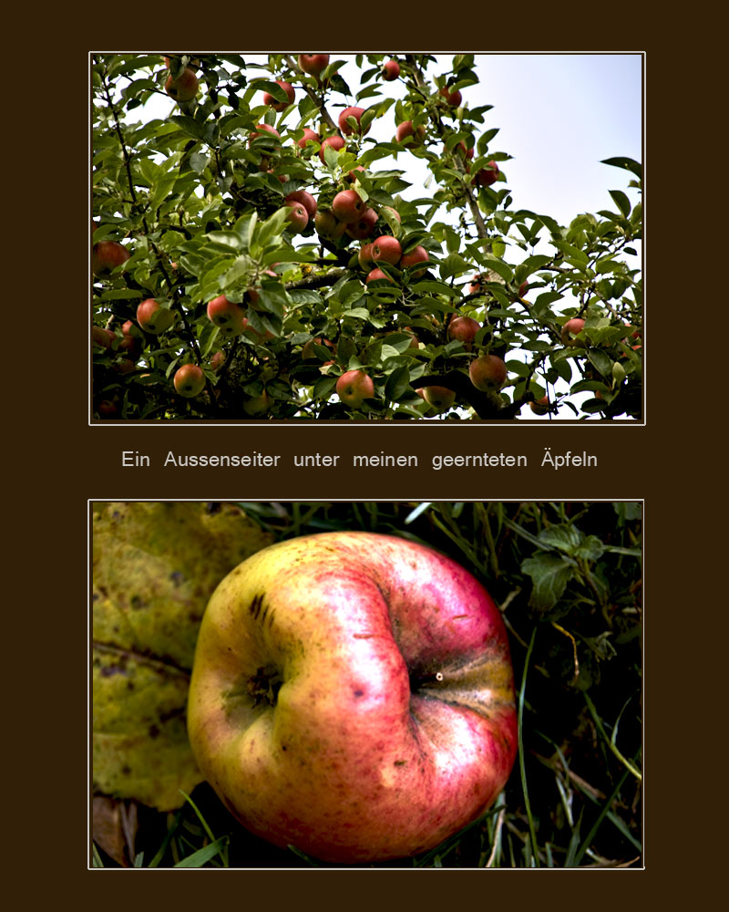 Geerntete Äpfel