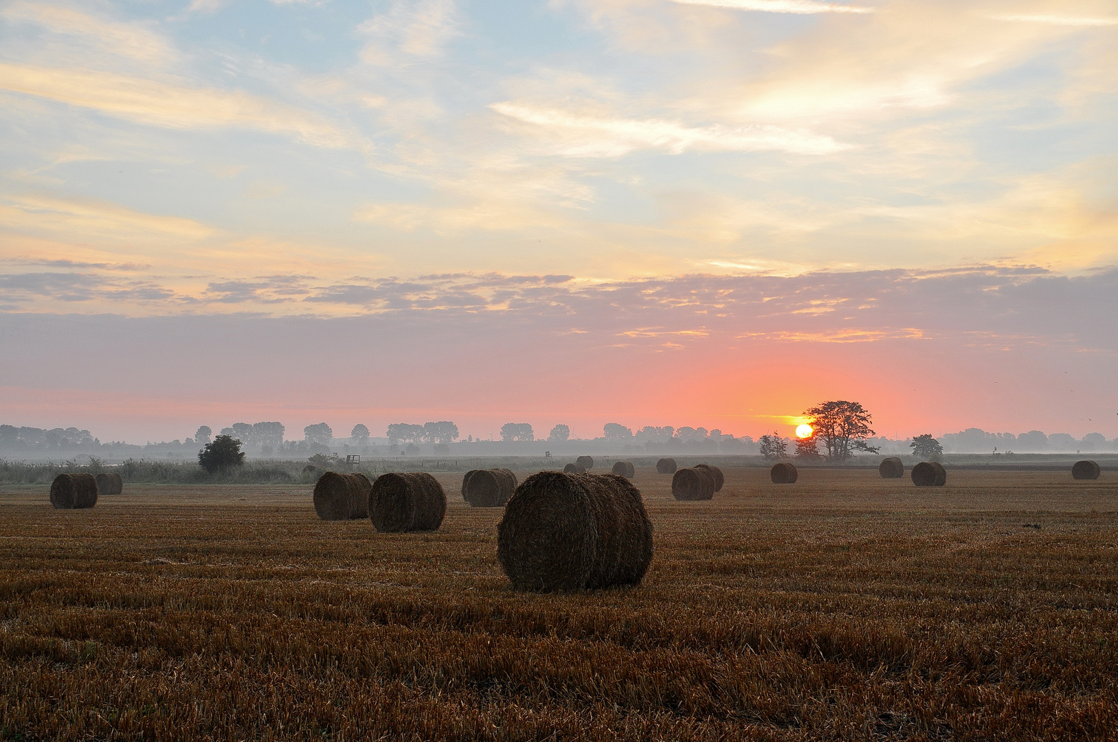 Geerntetes Roggenfeld im Licht eines neuen Morgens..