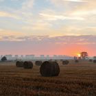 Geerntetes Roggenfeld im Licht eines neuen Morgens..