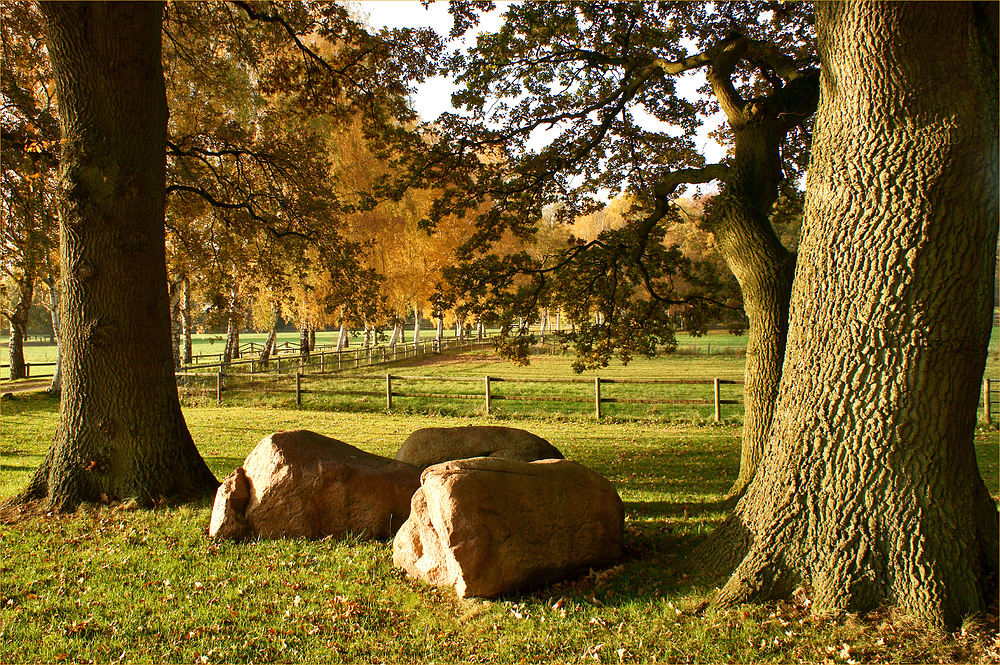 Geest - Herbst