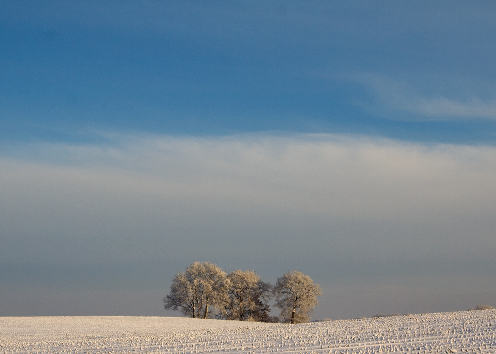 Geestlandschaft im Schnee