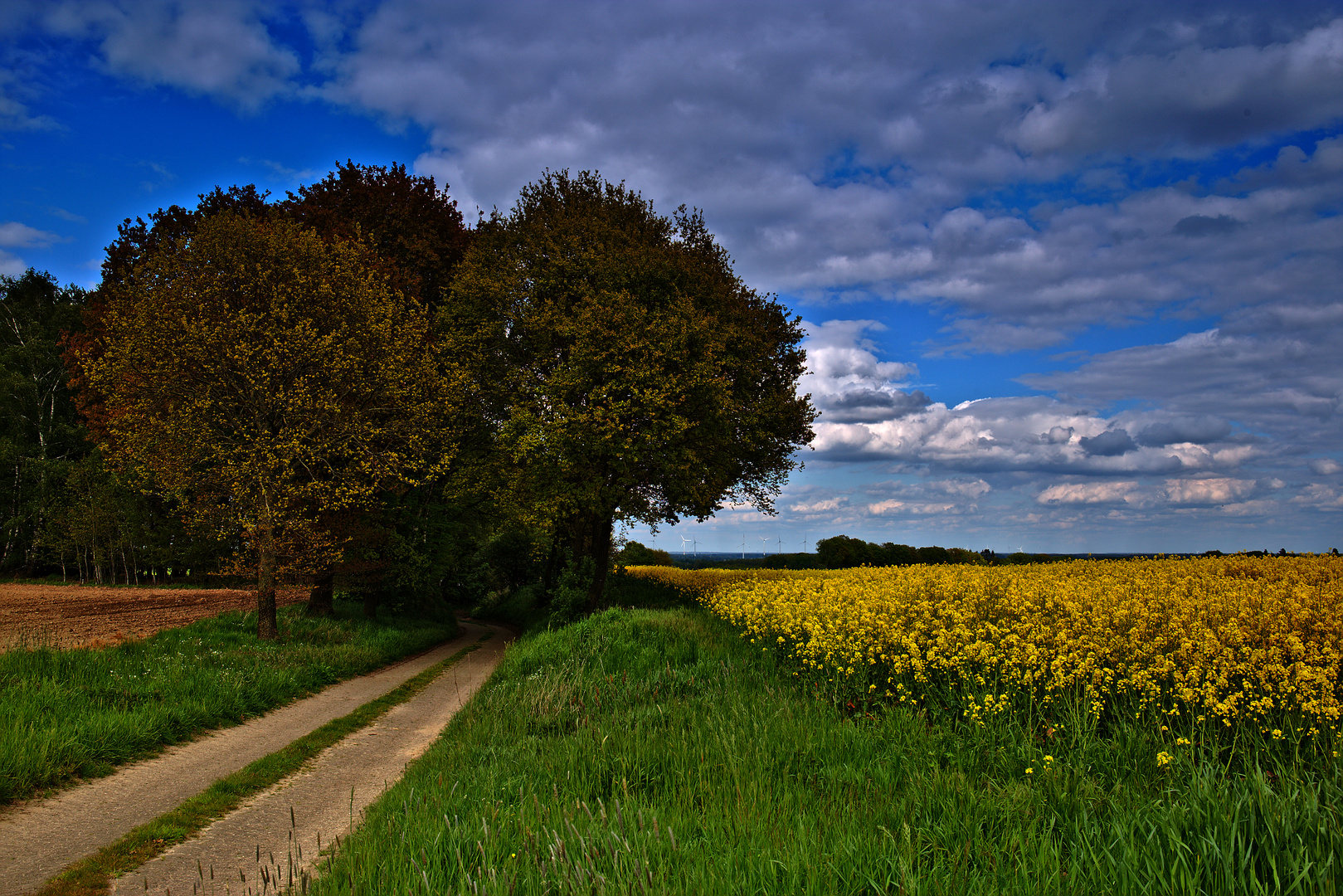 Geestrand in Süstedt