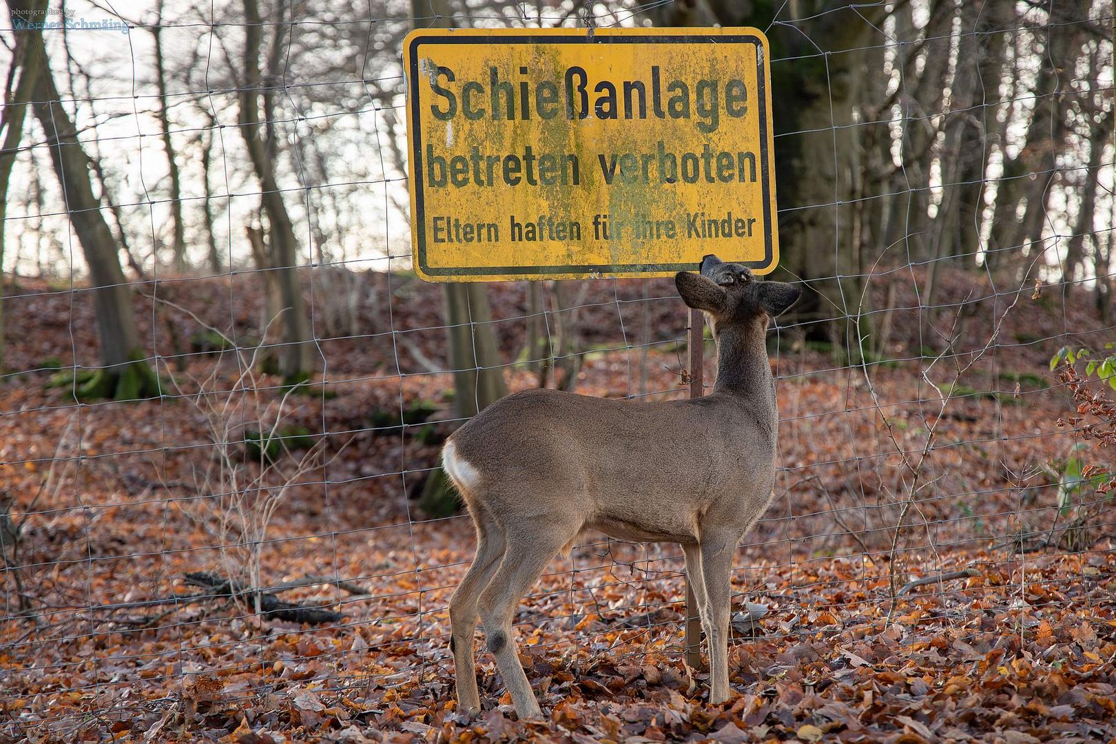 Gefährliche Gegend ...