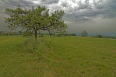 gefährliche naturgewalten