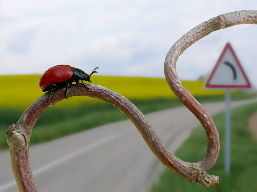 Gefährliche Strassenführung