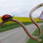 Gefährliche Strassenführung