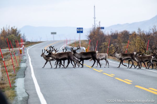 Gefährliche Strassenüberquerung
