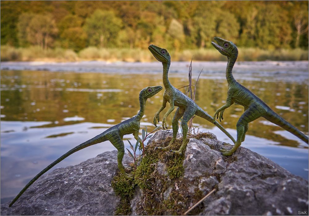 gefährliche Tierchen