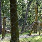 Gefährliche Tiere hinter Gittern!