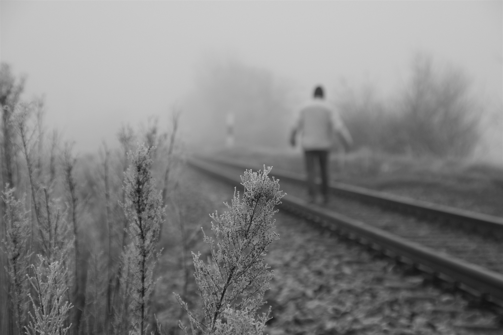 gefährliche Tour im Nebel