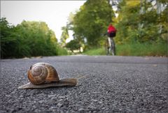 Gefährliche Überquerung