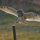 gefährlicher Anflug