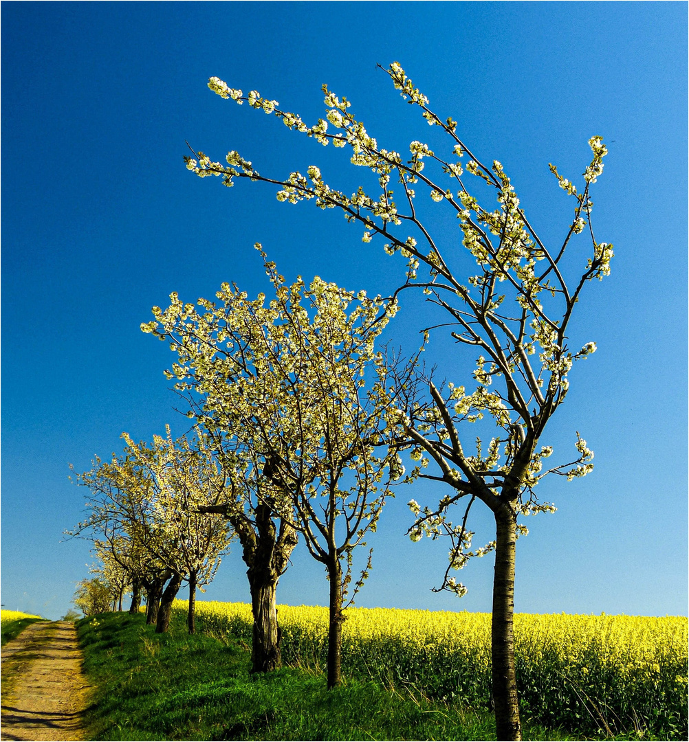 Gefährlicher Frühling