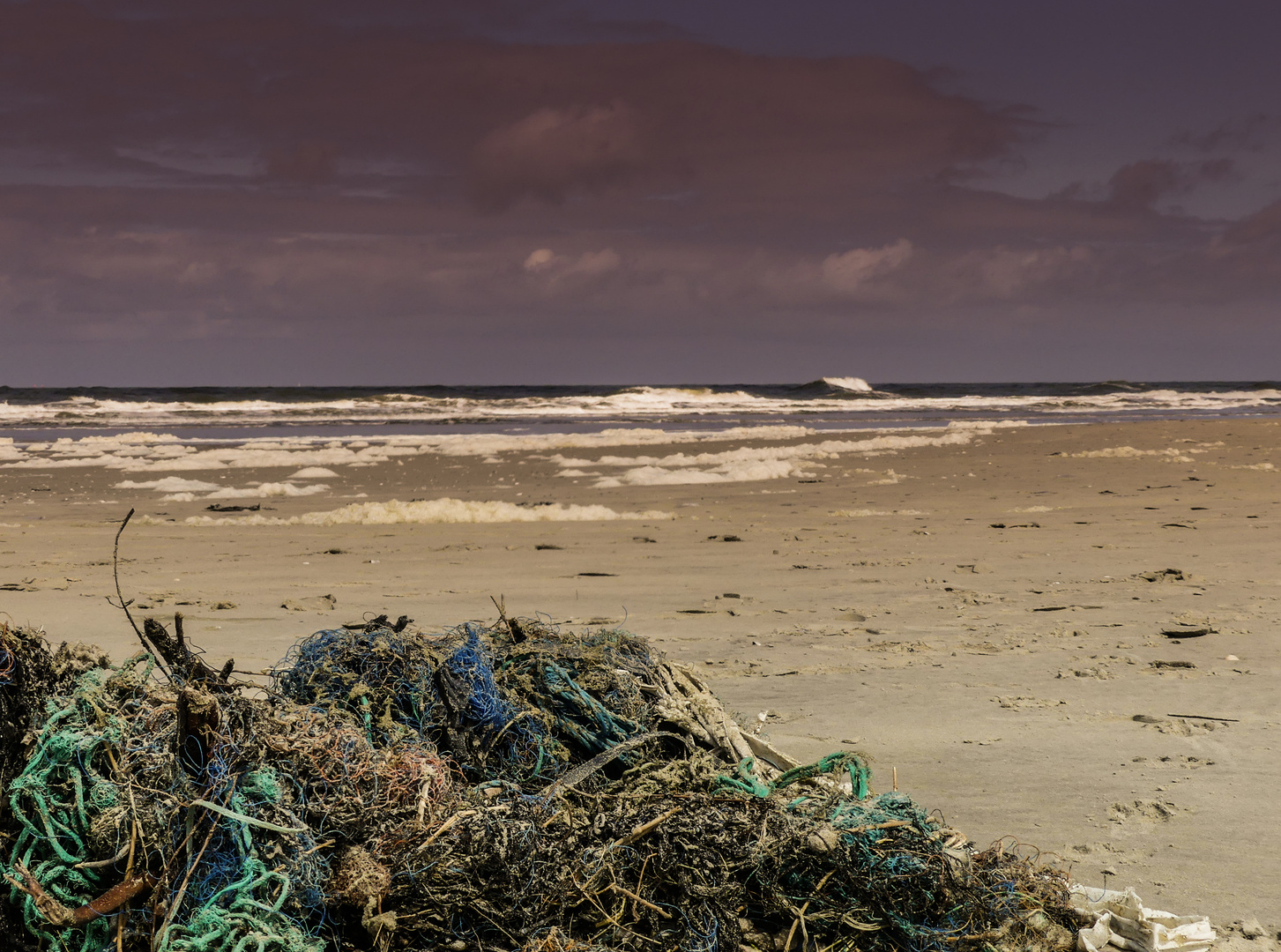Gefährlicher Meeresbewohner: Kunststoff