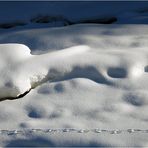 Gefährlicher Spaziergang