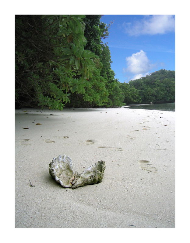 Gefährlicher Strand