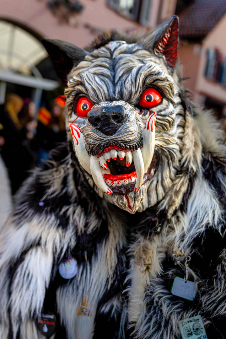 Gefährlicher Wolf Fastnacht 24 