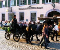 Gefährt der Weinkönigin