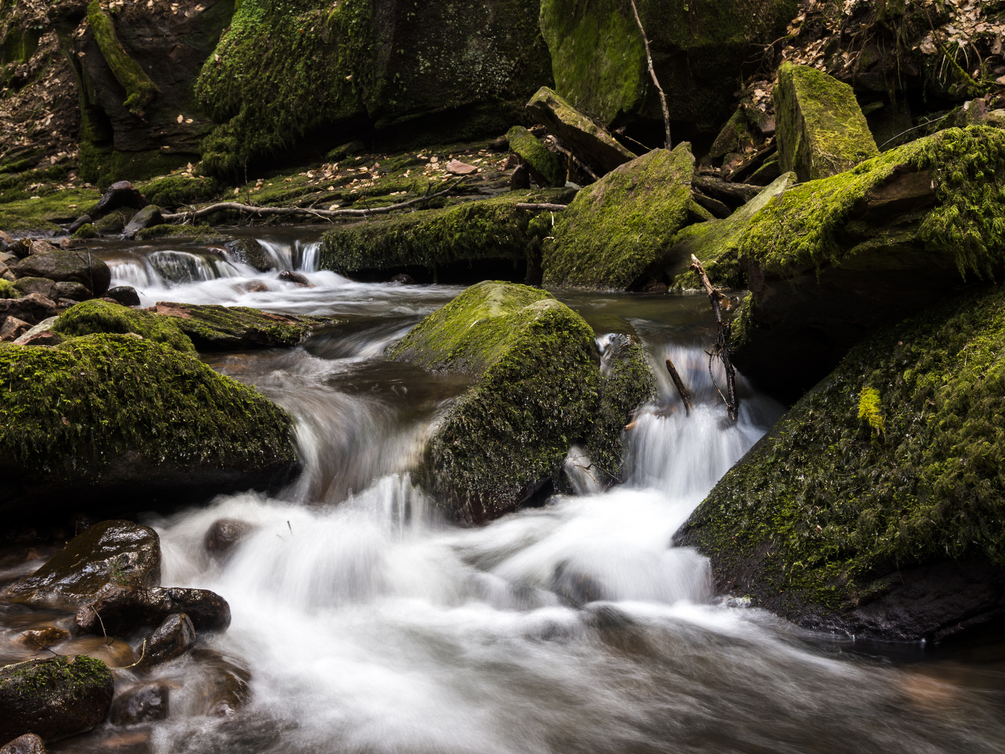 Gefällestrecke am Monbach