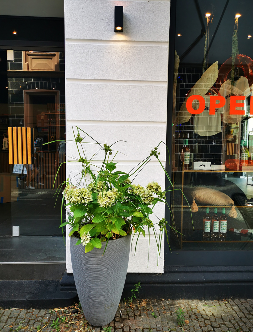 gefällige Deko. Foto &amp; Bild | streetfotografie ohne menschen, outdoor ...