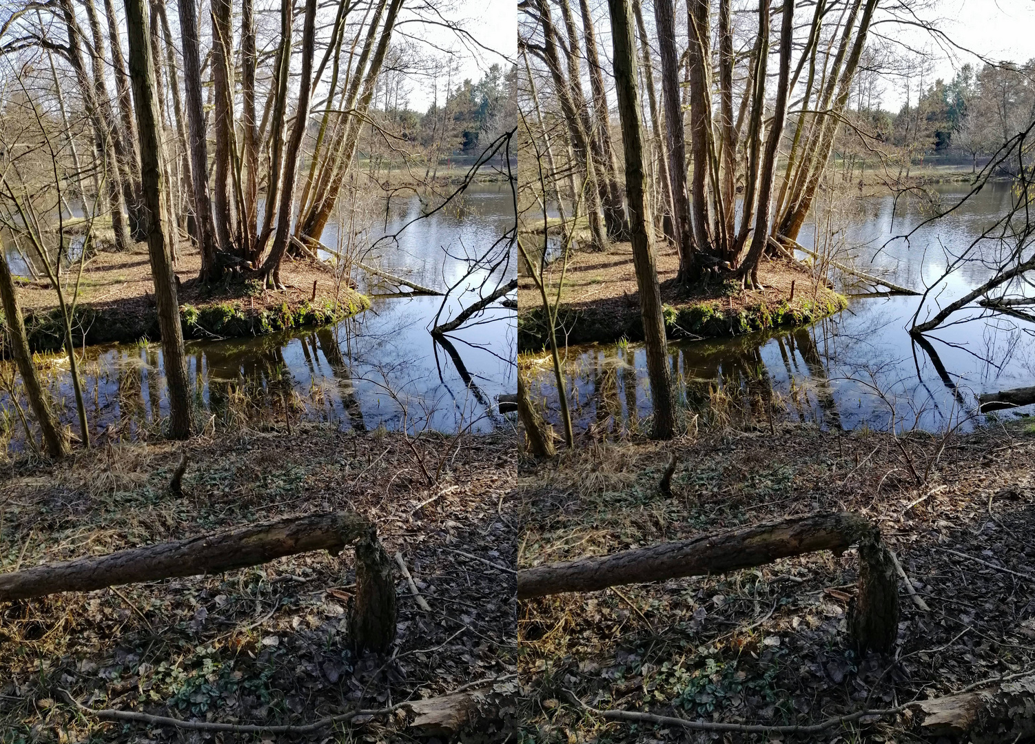 gefällt ( 3D Kreuzblick stereo)