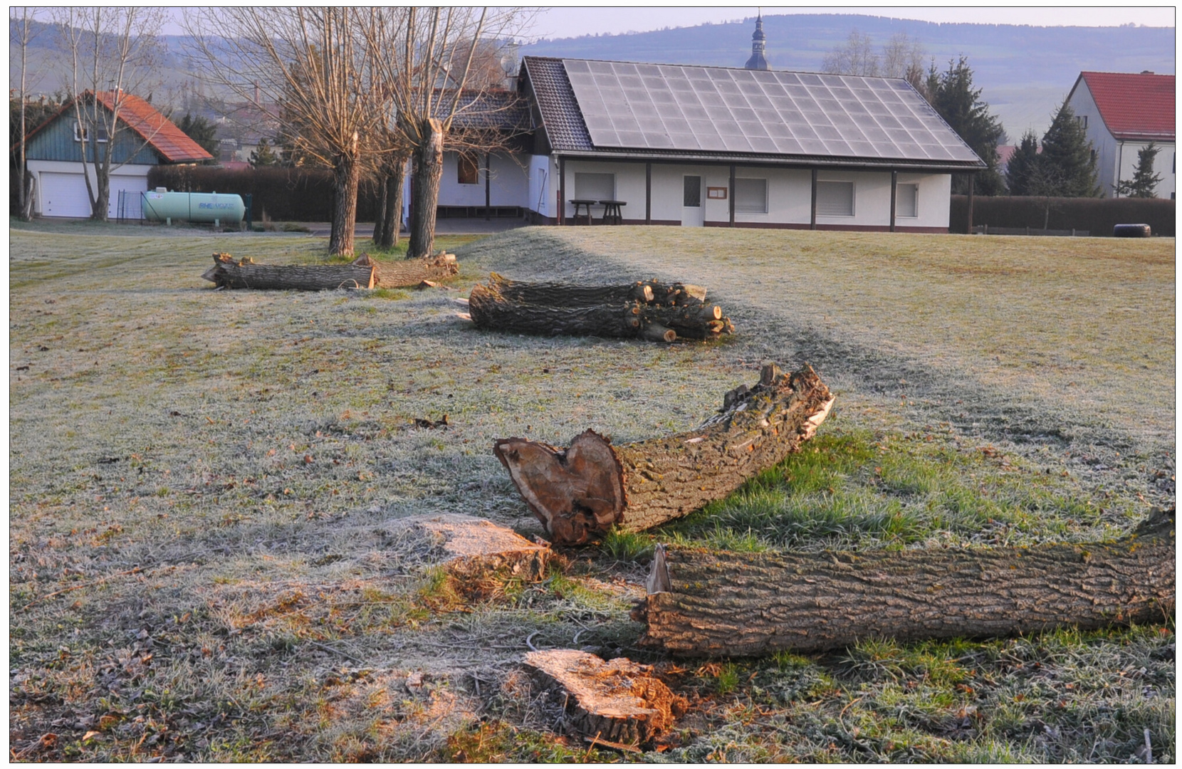 gefällte Bäume am Sportplatz (Árboles talados en el campo de deportes)