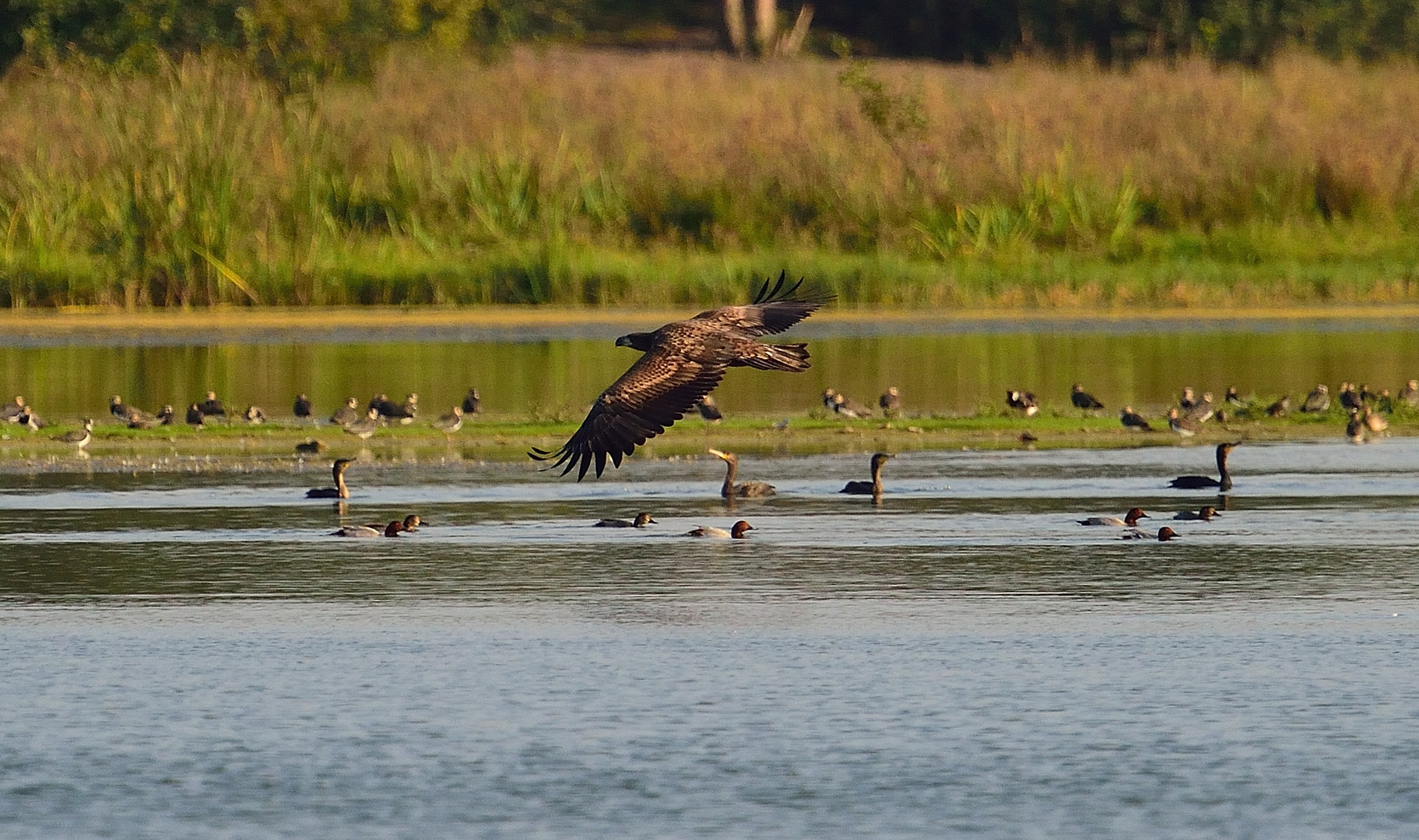 Gefahr im Anflug