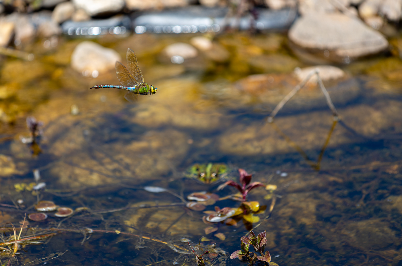 Gefahr im Wasser