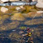 Gefahr im Wasser