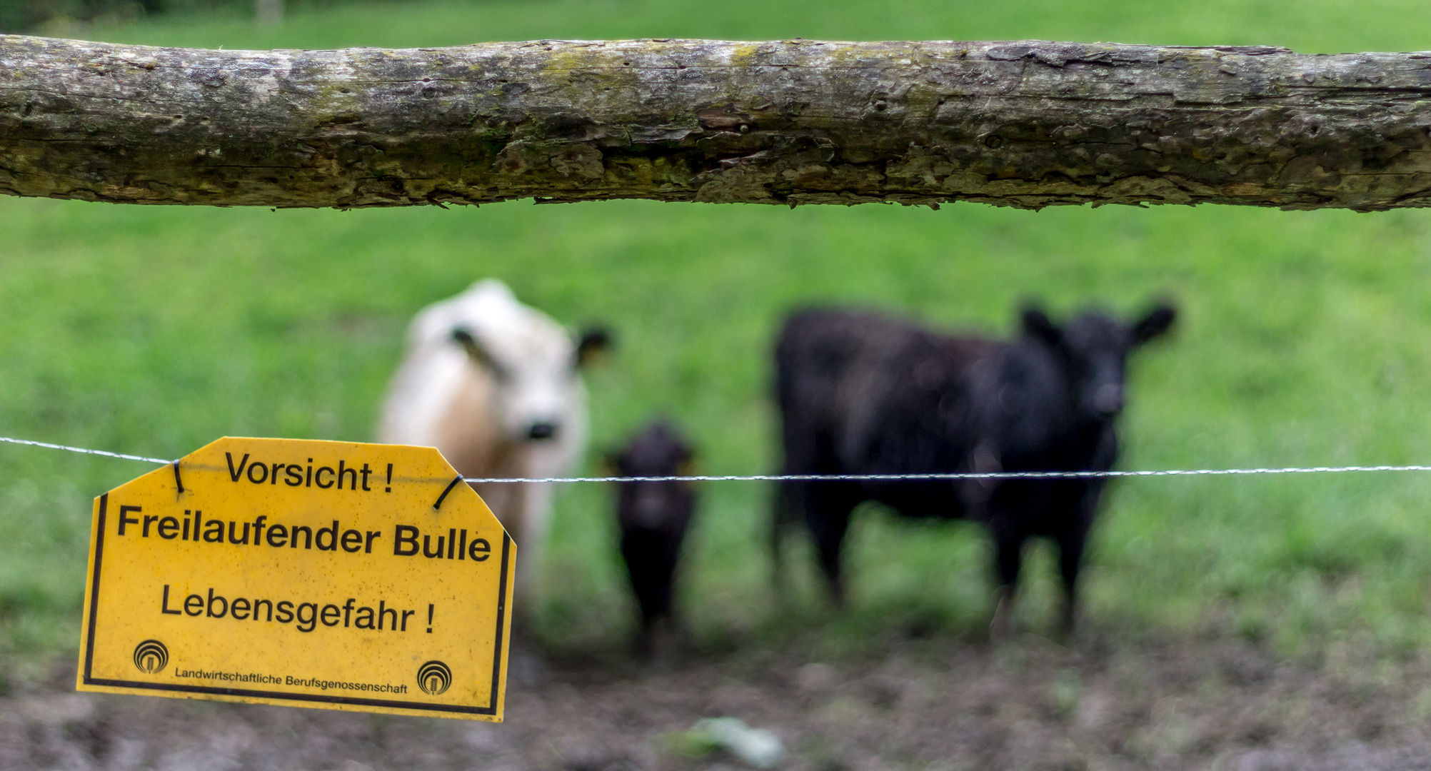 Gefahr in Thüringen